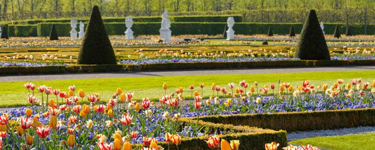 Frühjahrsflor im Großen Garten